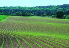 智能灌溉的土地利用率