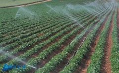 认识智能灌溉系统以及意义